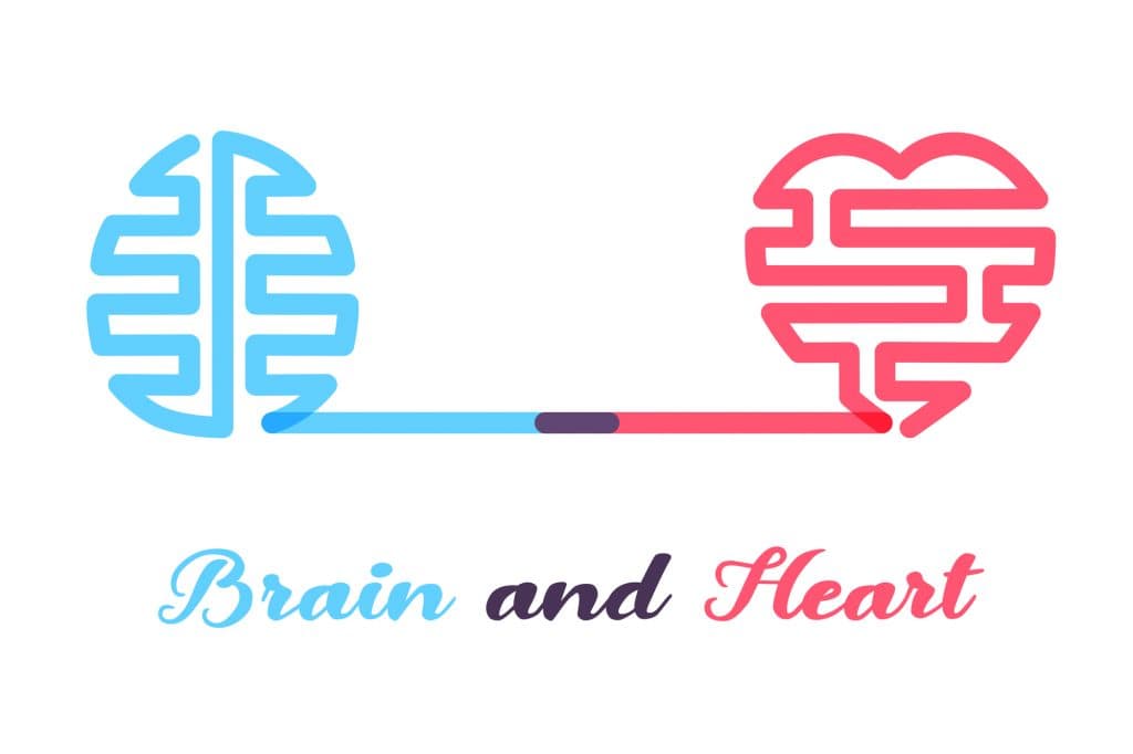 The Heart-Brain Connection